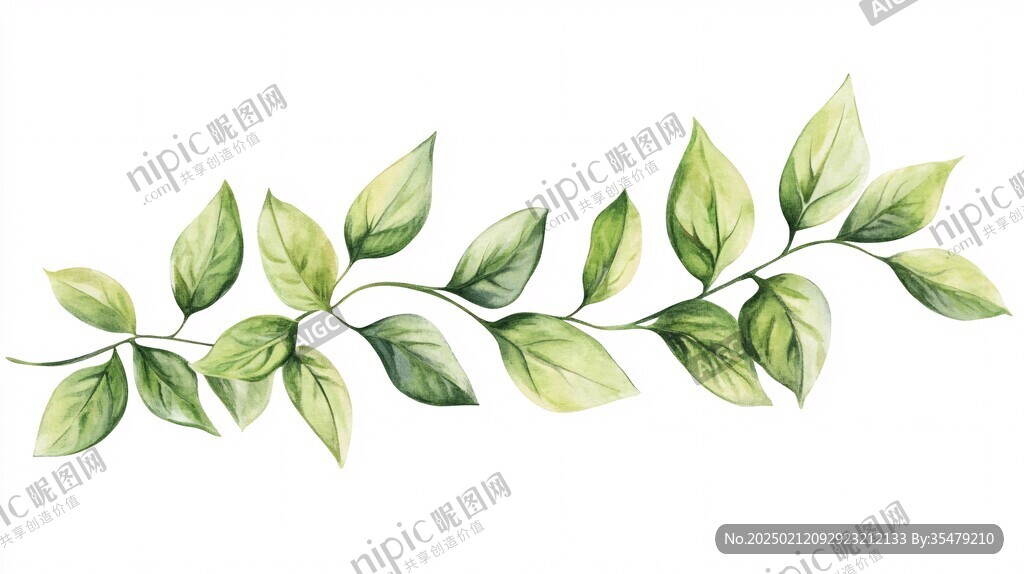 手绘绿萝藤条
