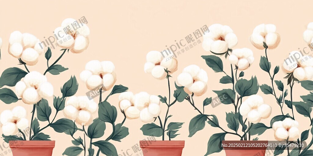 棉花包装插画
