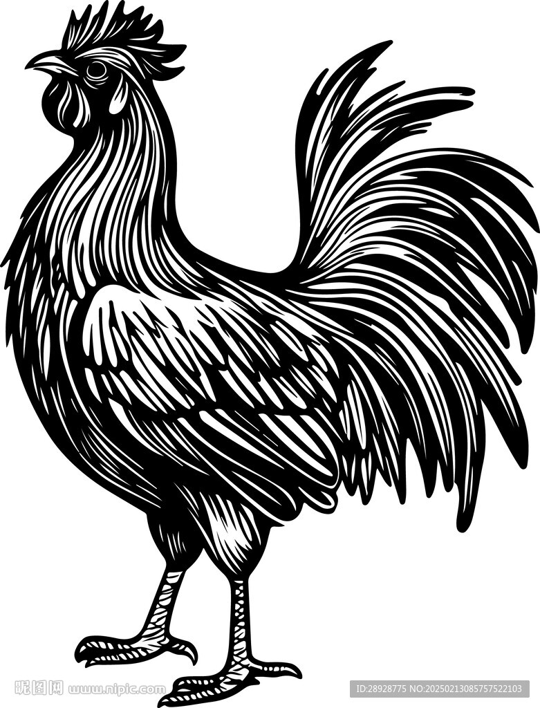 鸡黑色矢量图