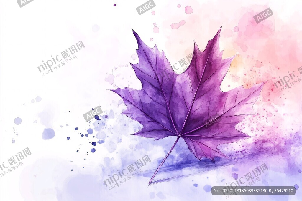 枫叶插画手绘
