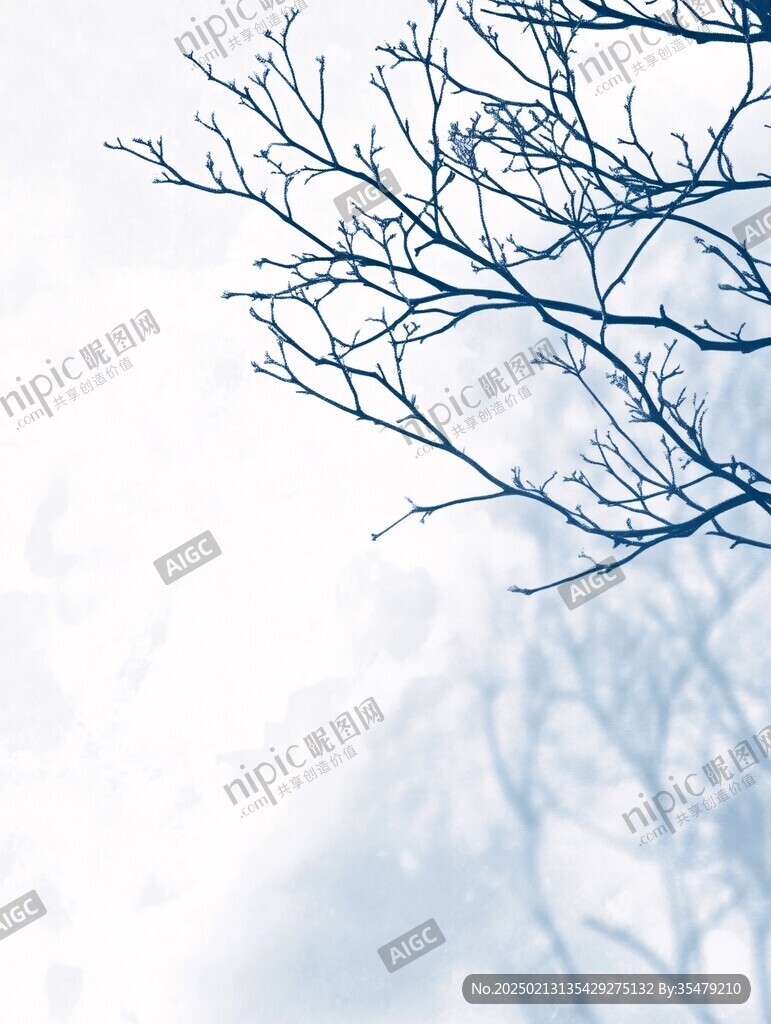 冬天树枝雪景