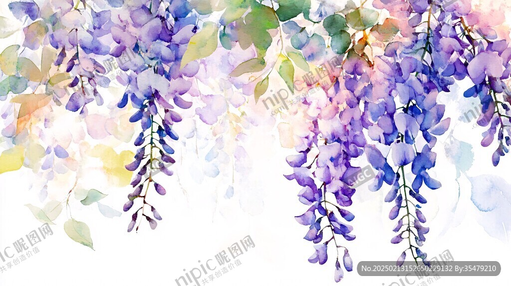 唯美紫藤花水彩插画