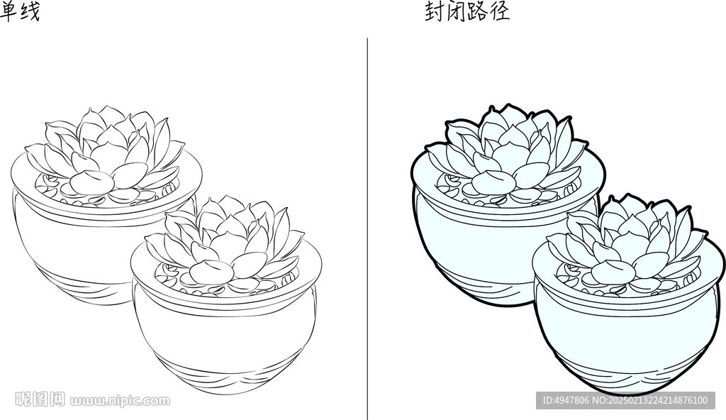 多肉 矢量图