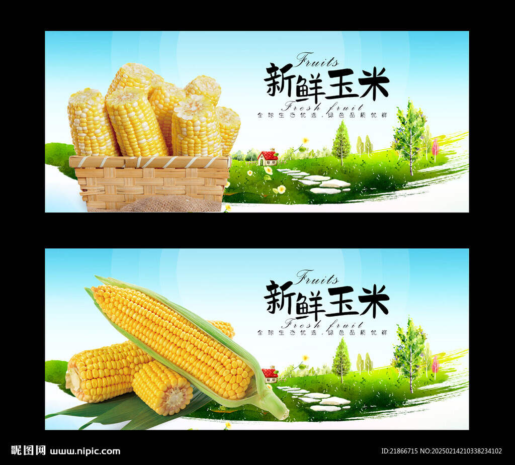 玉米