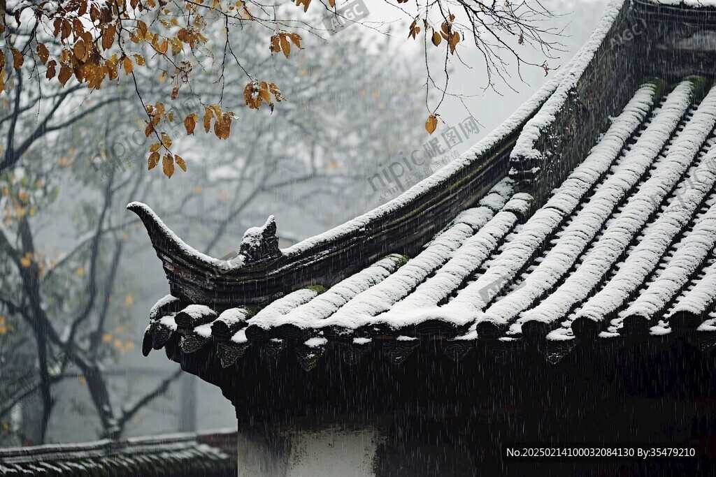 雪中南天竺
