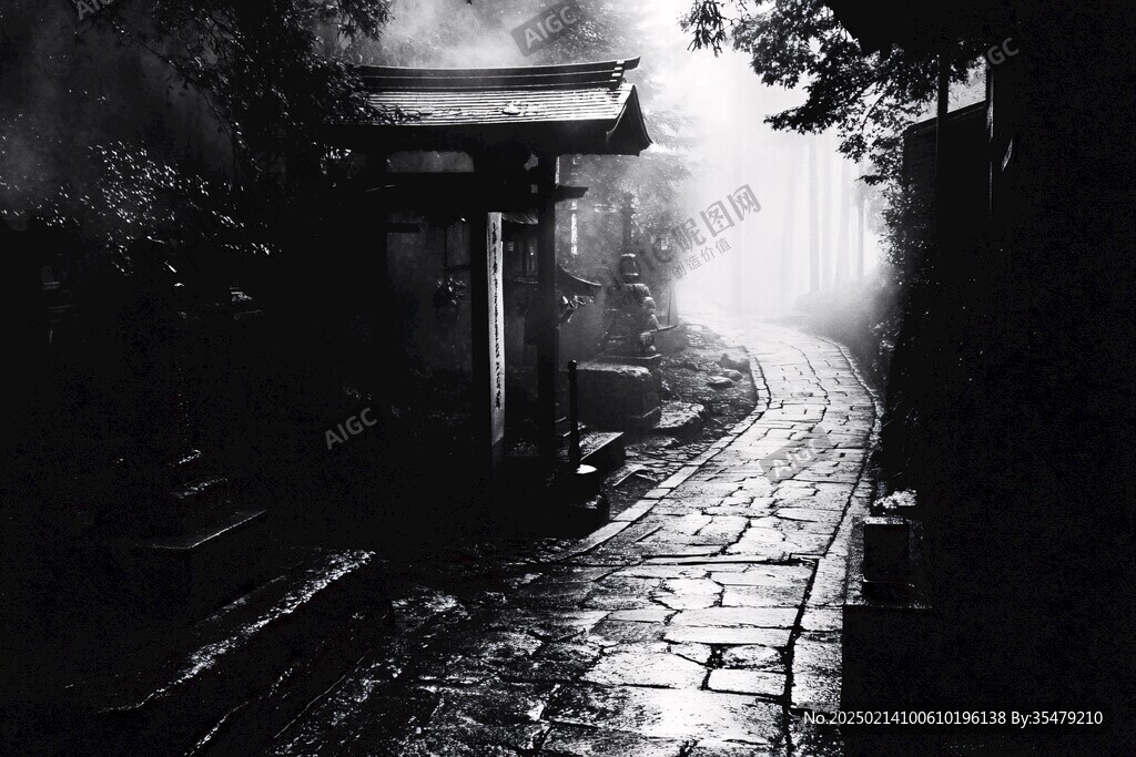 寂寥的雨巷