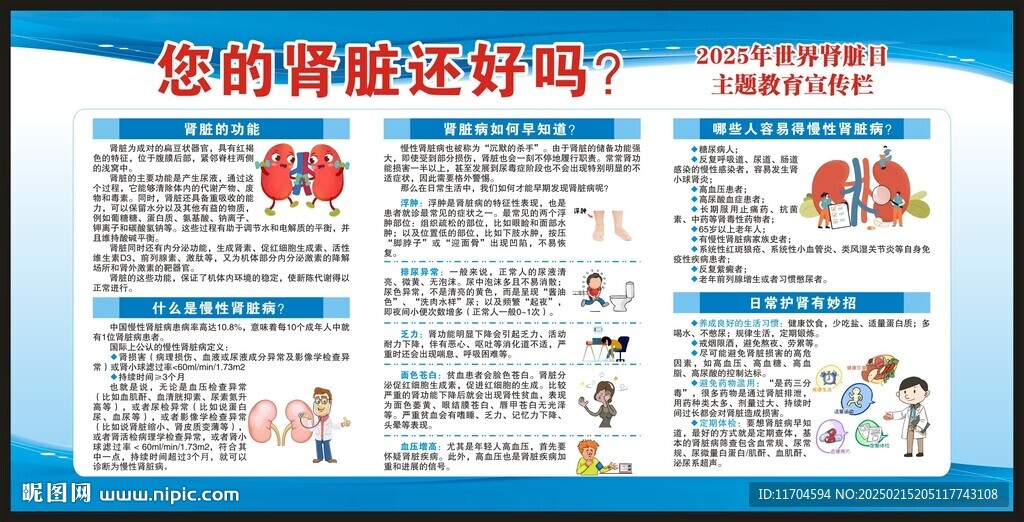 世界肾脏日宣传栏