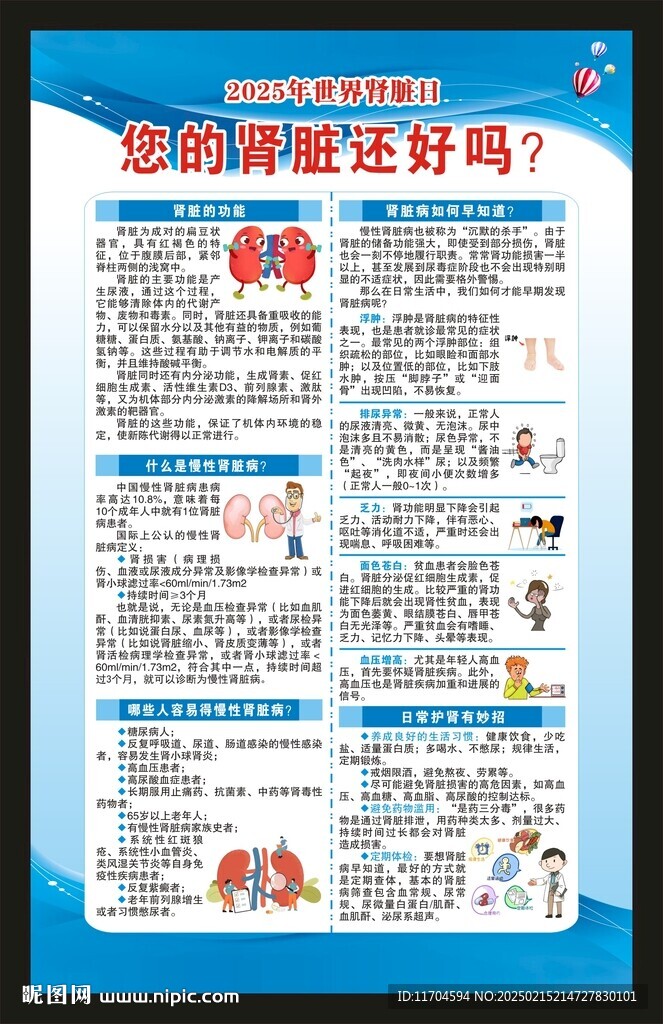 世界肾脏日海报
