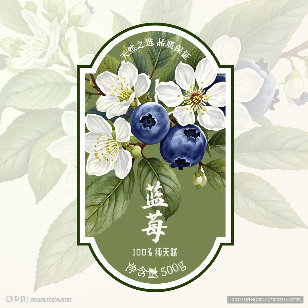 蓝莓
