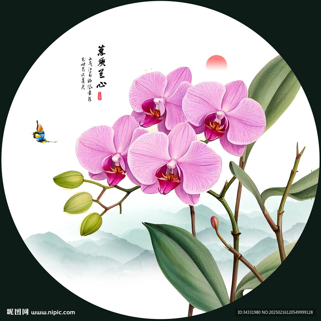 兰花