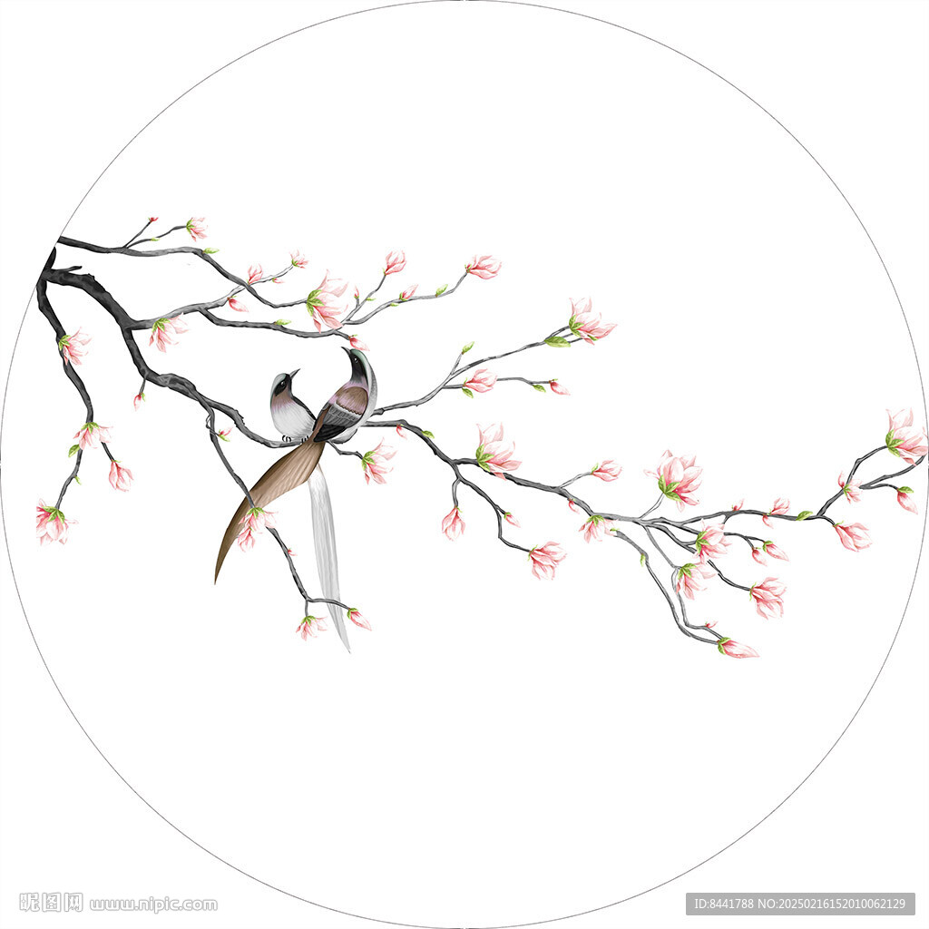 玉兰花 圆形