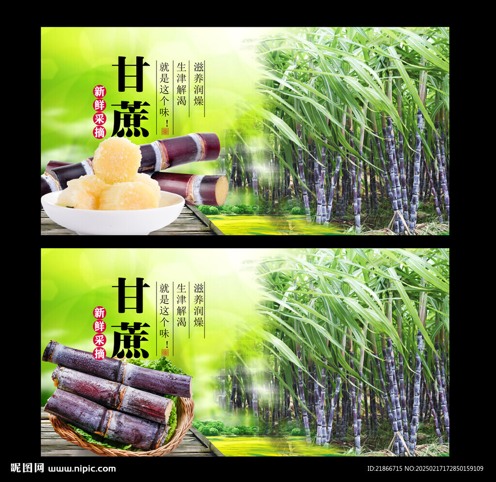甘蔗