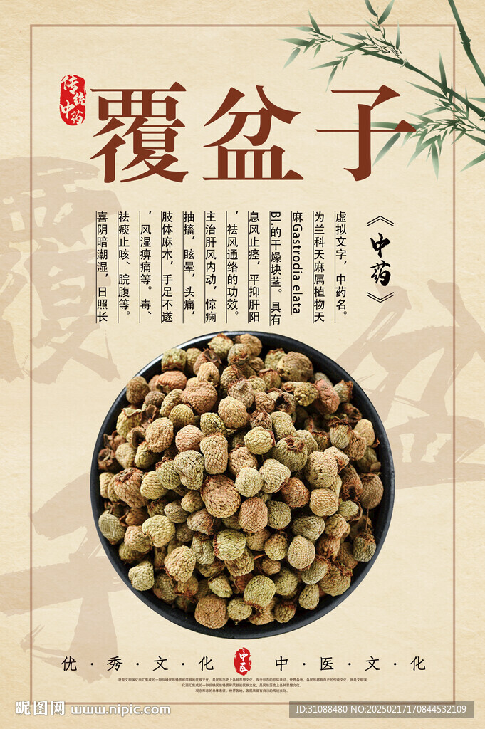 覆盆子海报