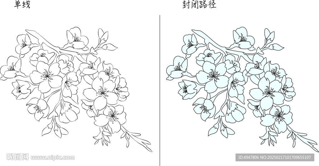 樱花 矢量图
