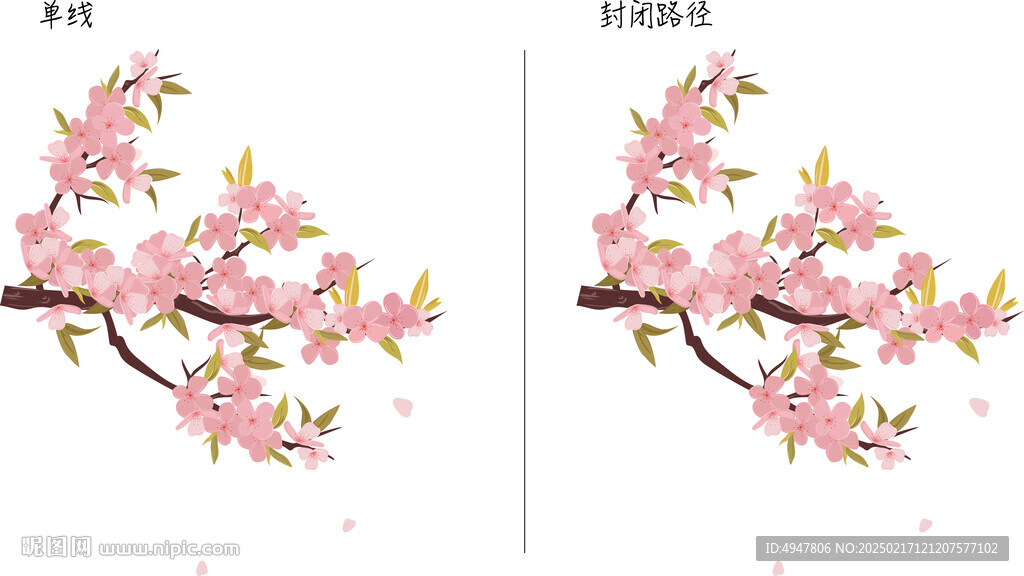 樱花 矢量图