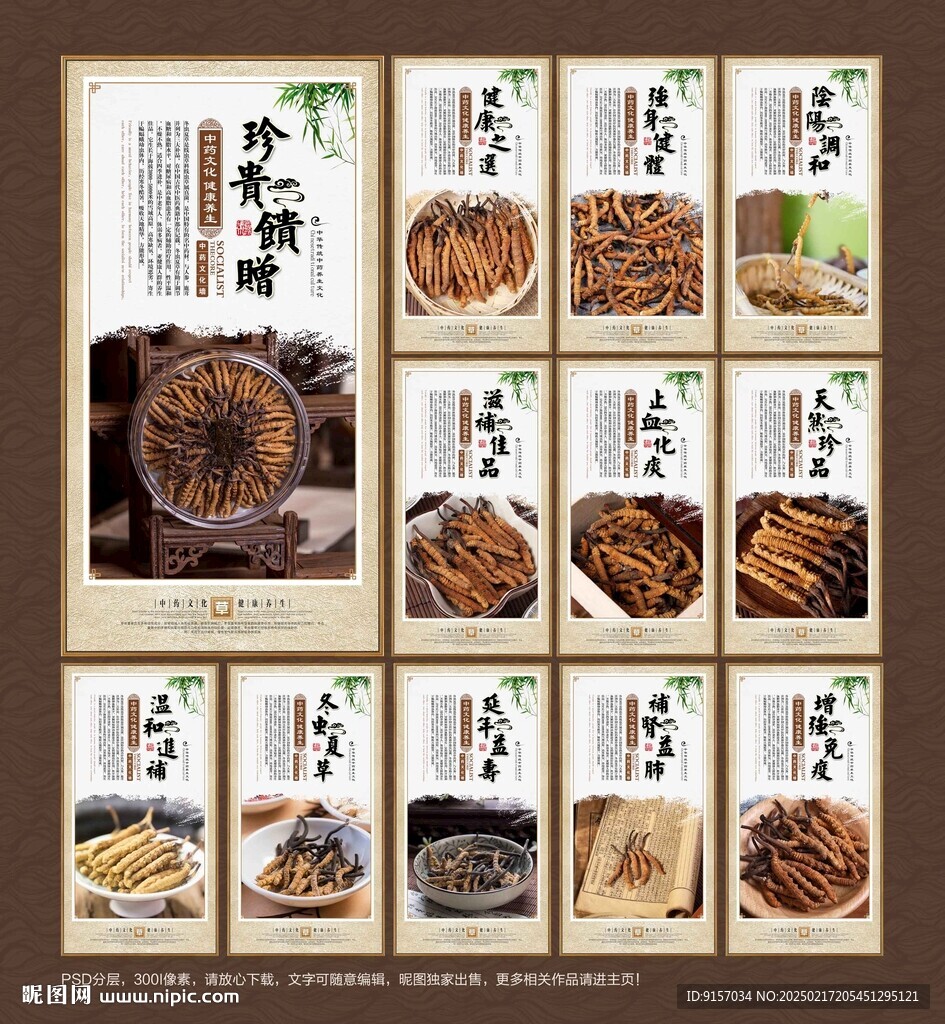冬虫夏草海报