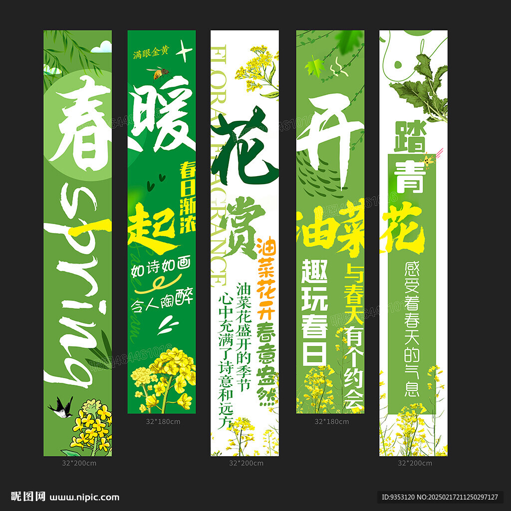 油菜花开了