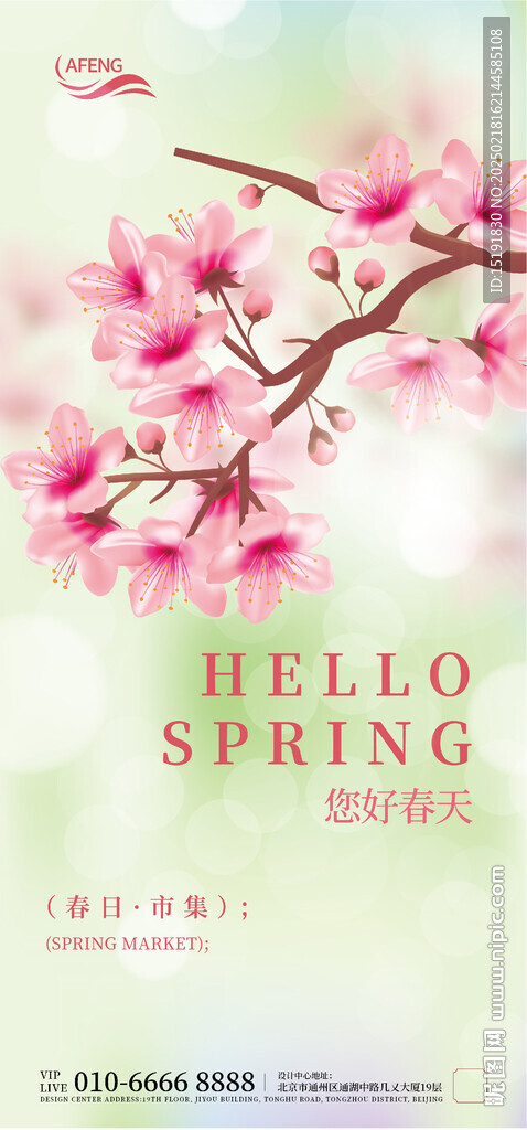 春季花朵节气海报