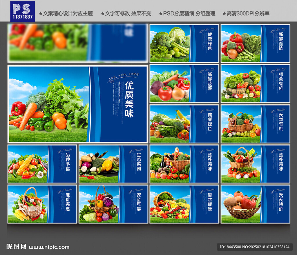 蔬菜