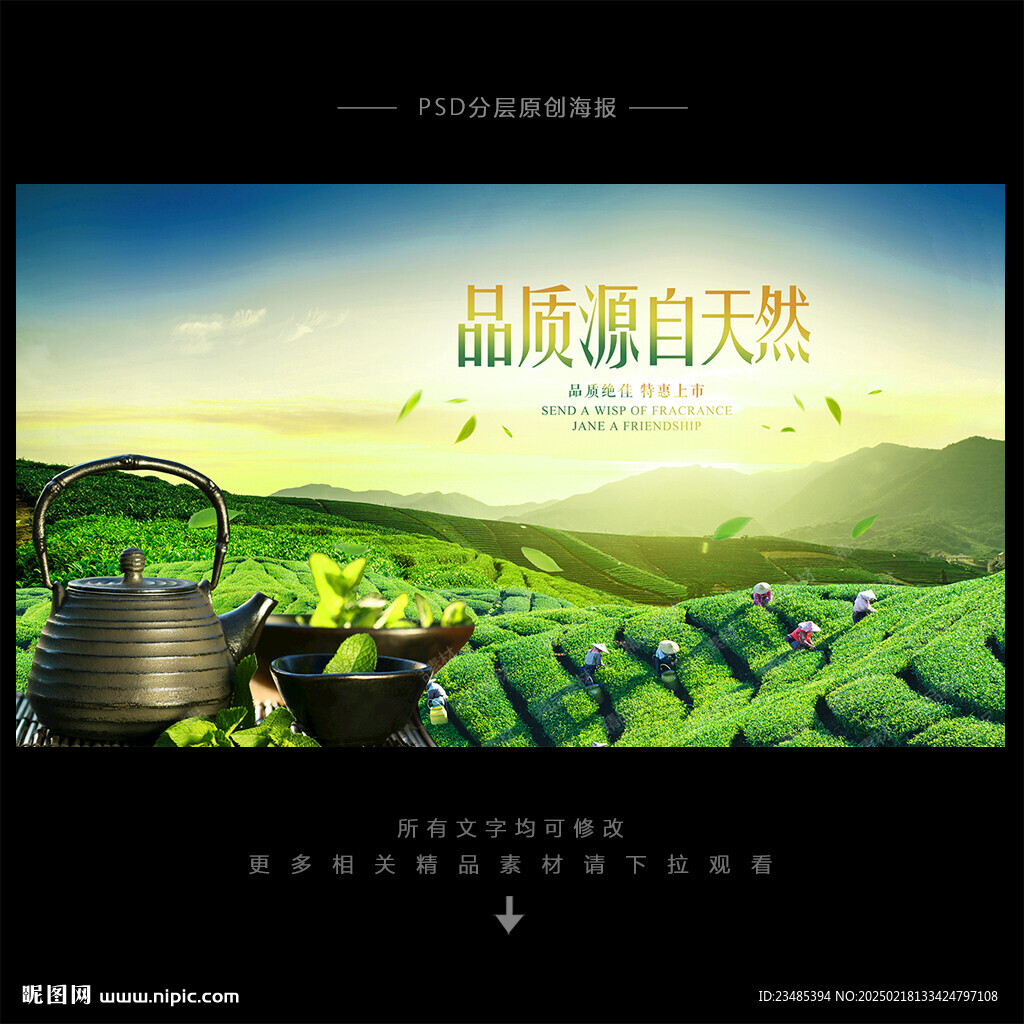 新茶上市