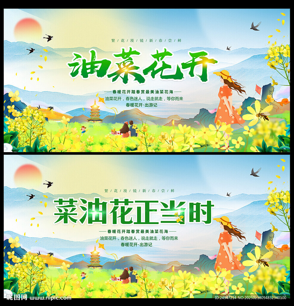 油菜花背景