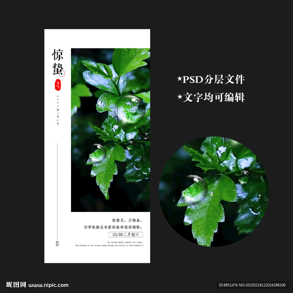 惊蛰