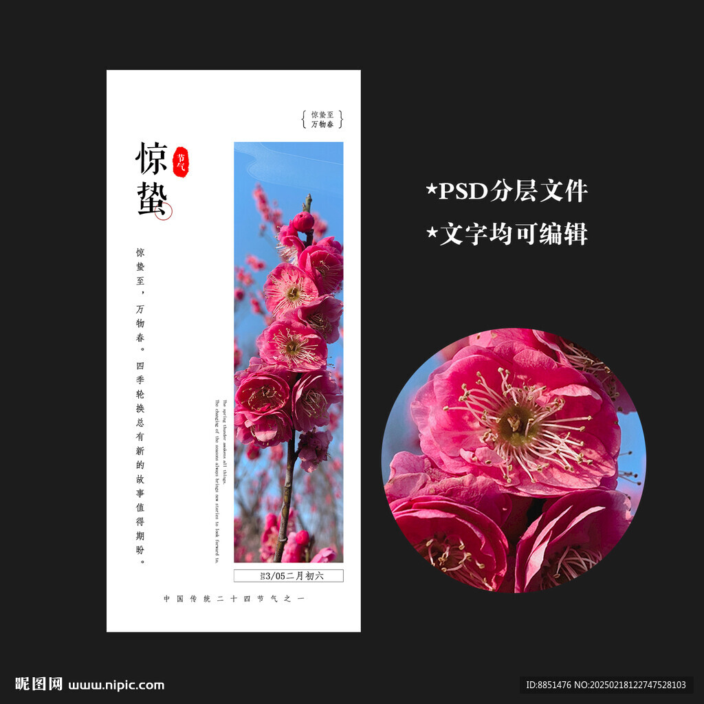 惊蛰