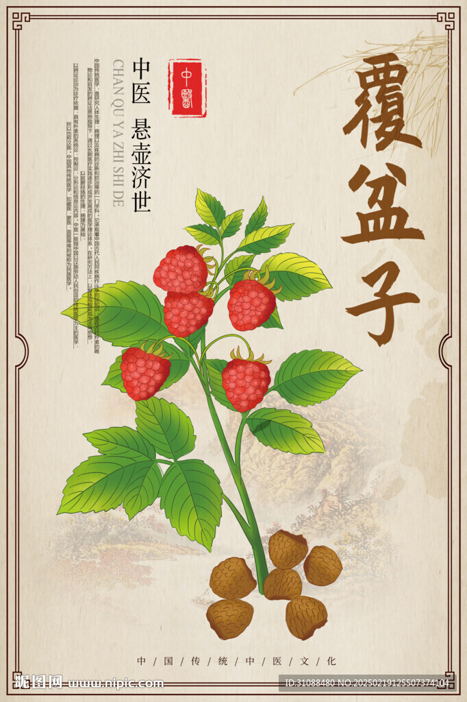 覆盆子海报 