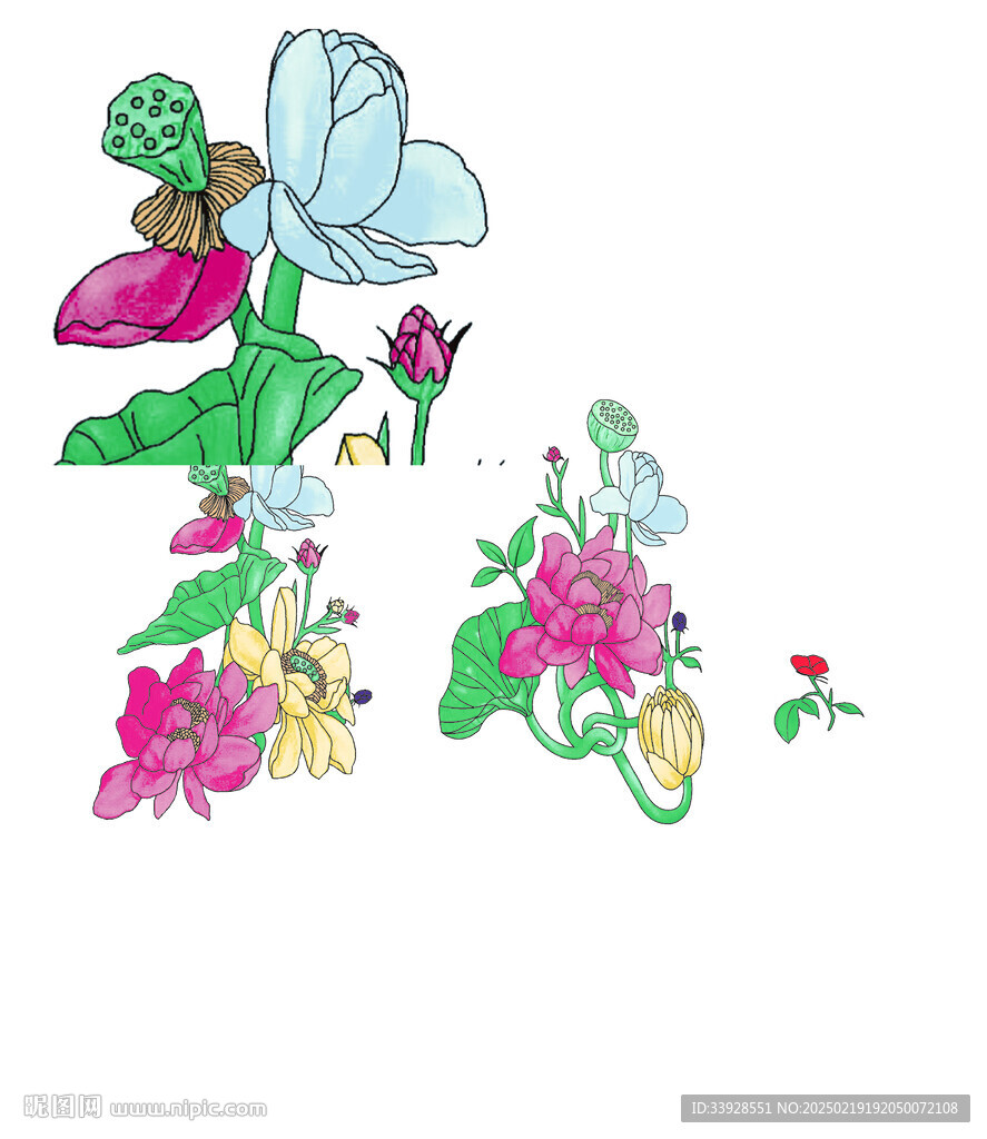 荷花