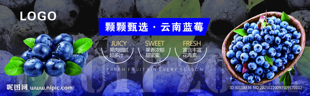 蓝莓灯箱海报