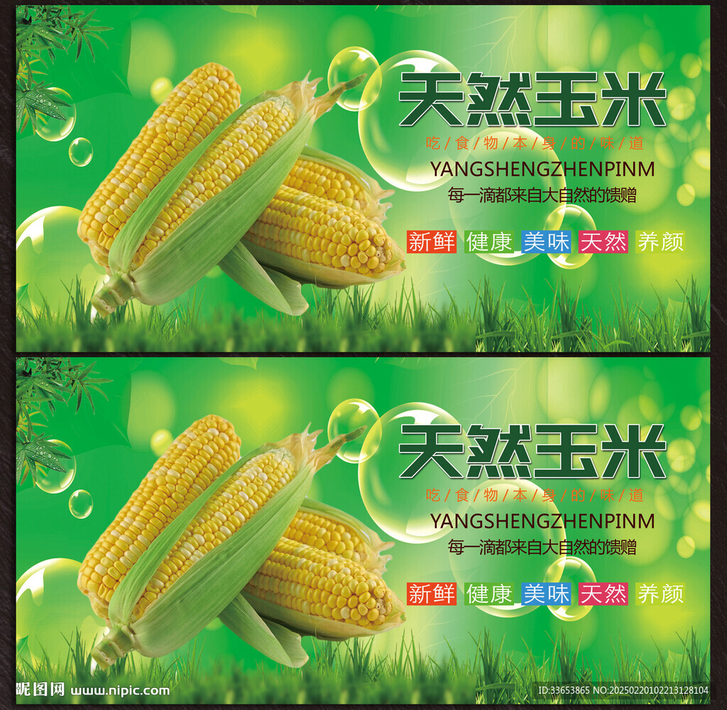 玉米展板