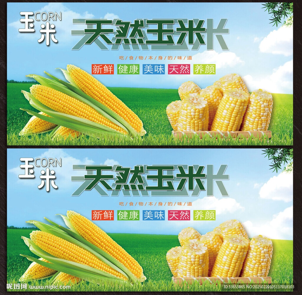 玉米展板