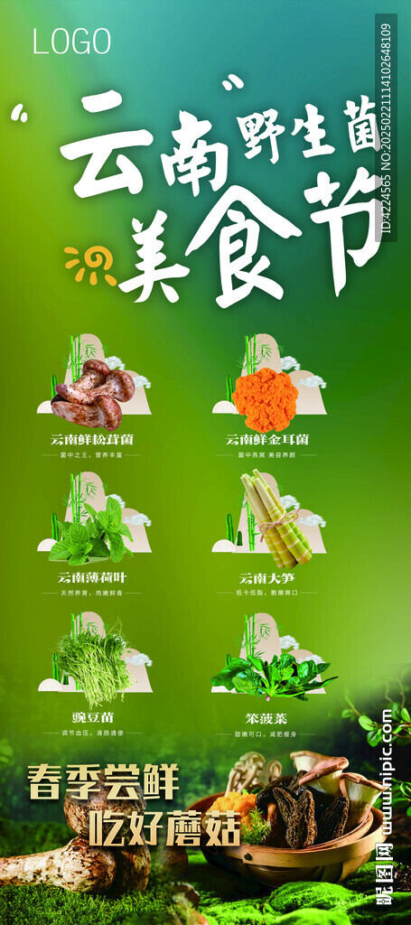 云南野生菌美食节海报展架