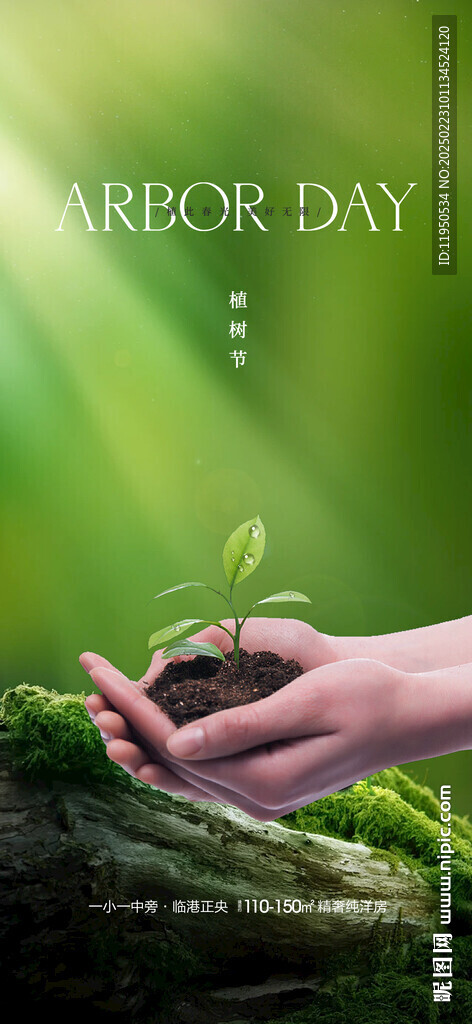  植树节 