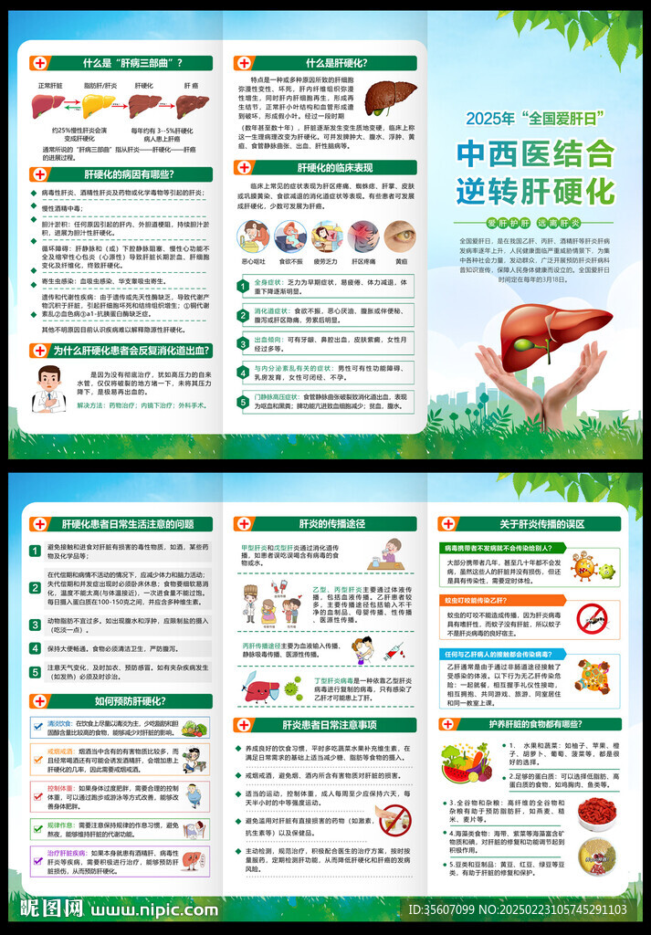 全国爱肝日三折页