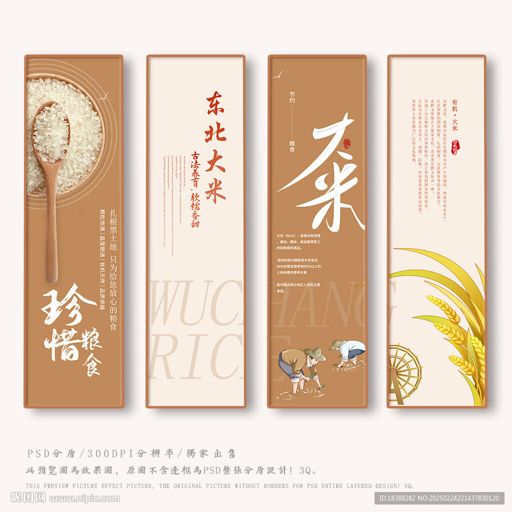 大米