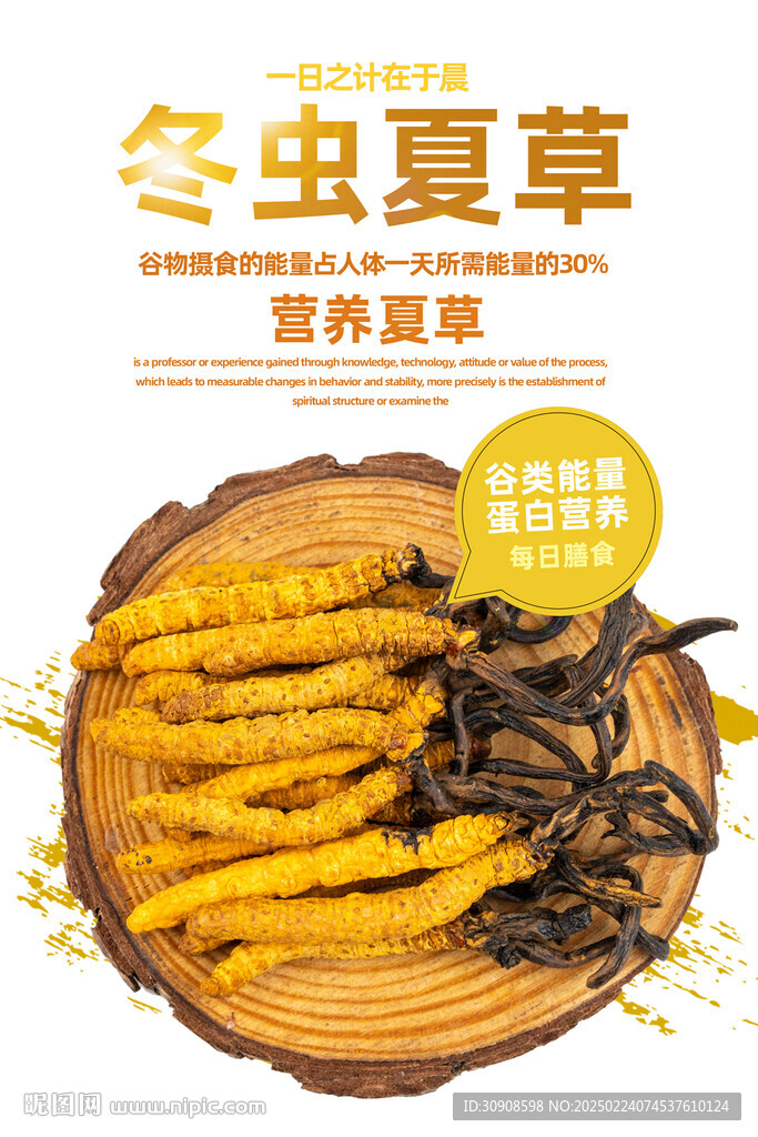 冬虫夏草