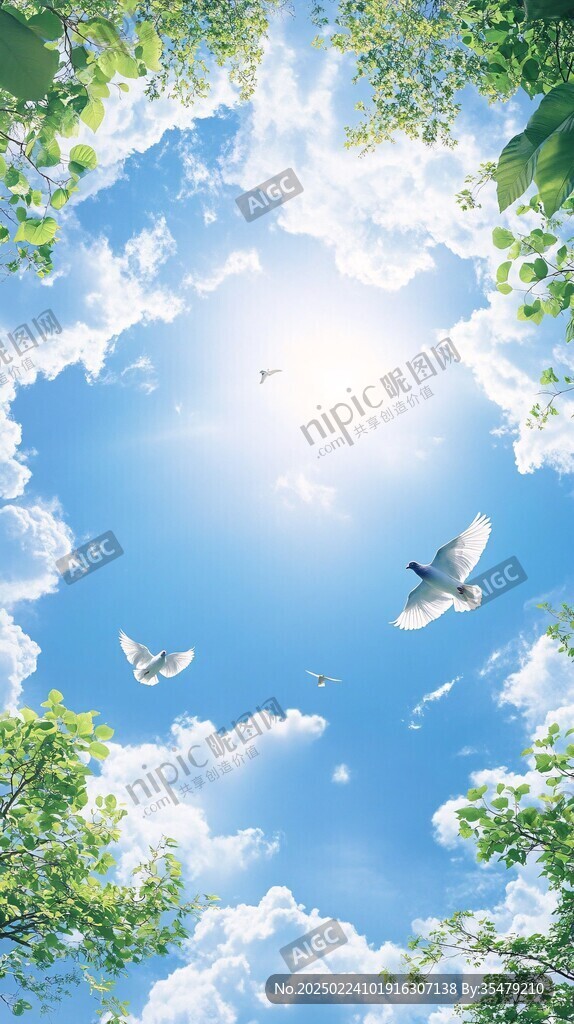 蓝天白云飞鸟绿树