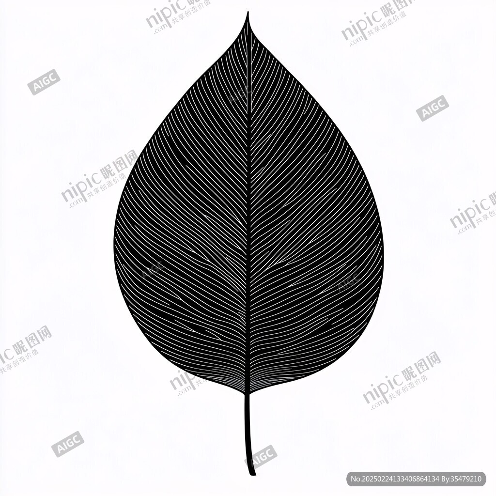 黑白树叶线条