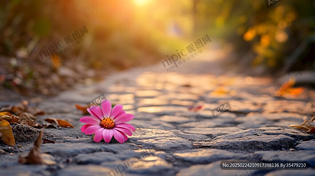 石路小花