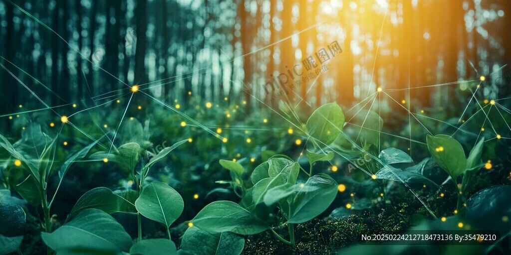 森林科技