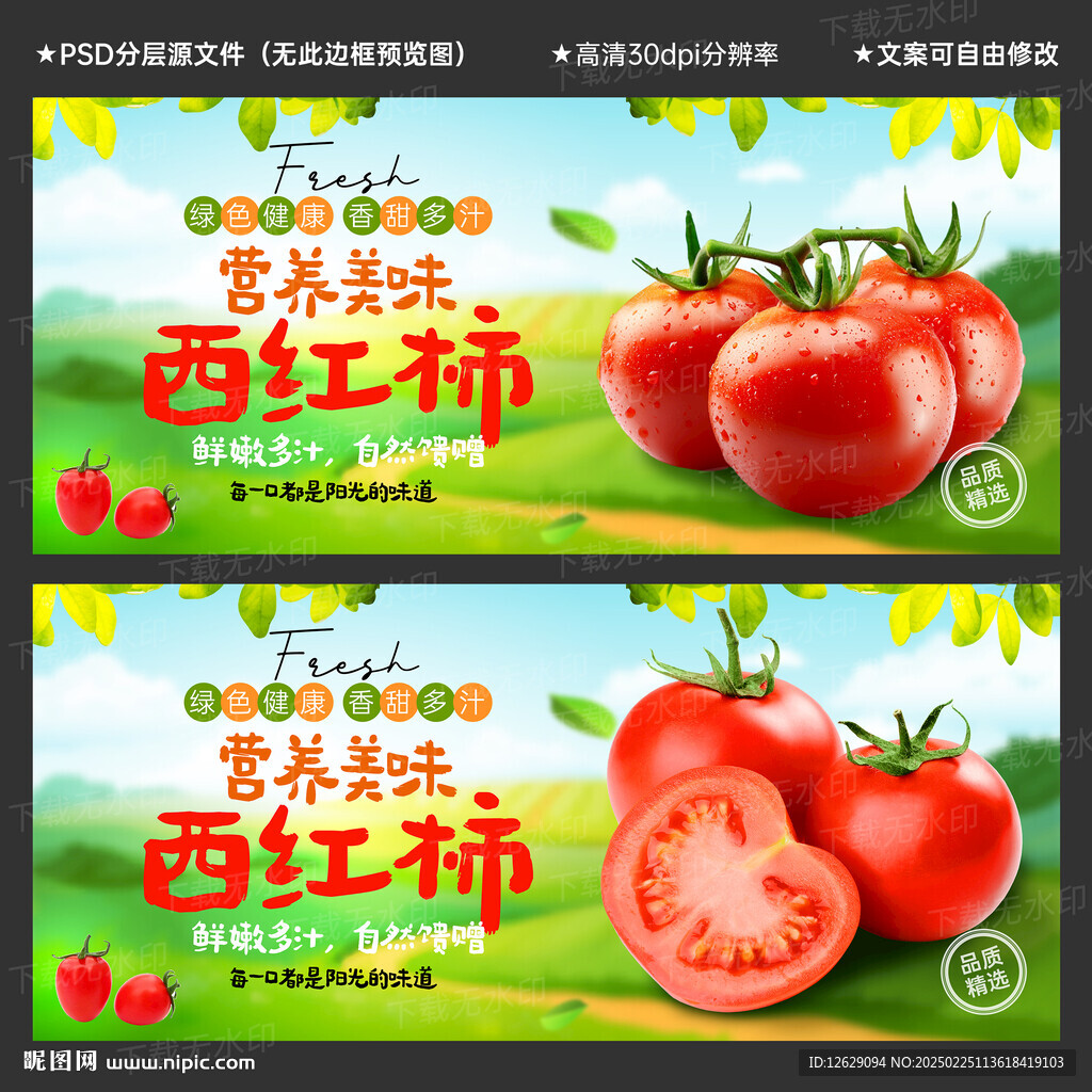 西红柿