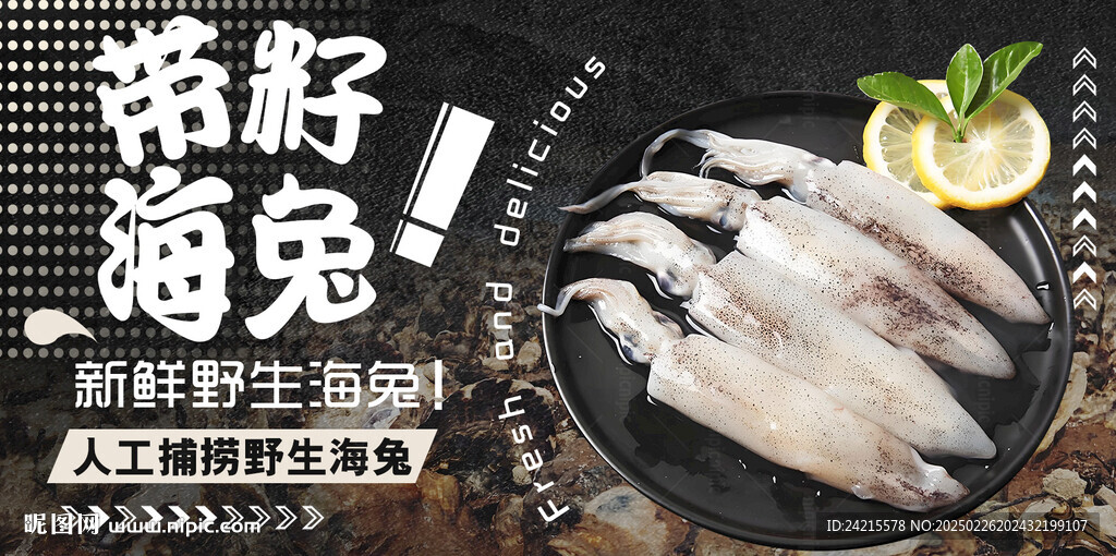 生鲜海兔 鱿鱼