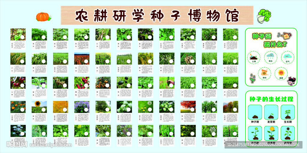 种子博物馆