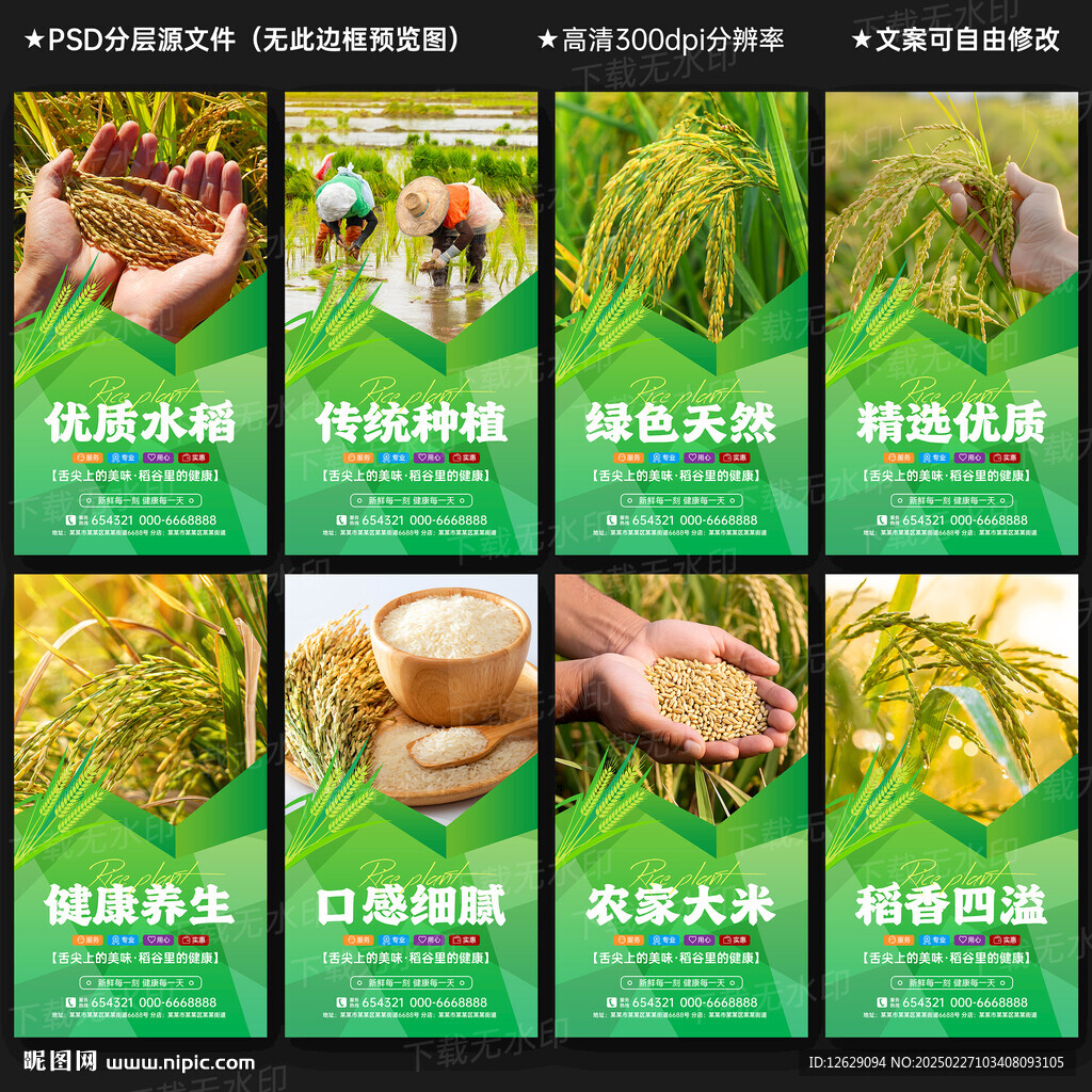 水稻