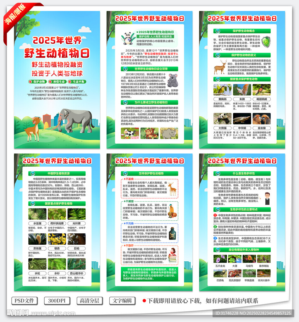 世界野生动植物日