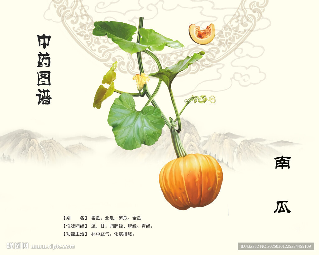 南瓜中药南瓜