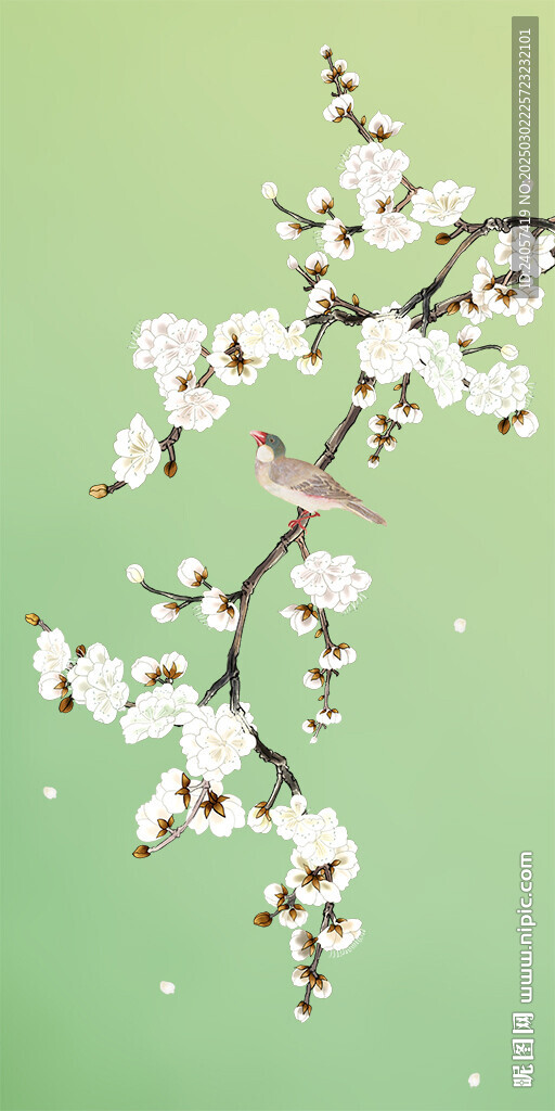 花鸟海棠