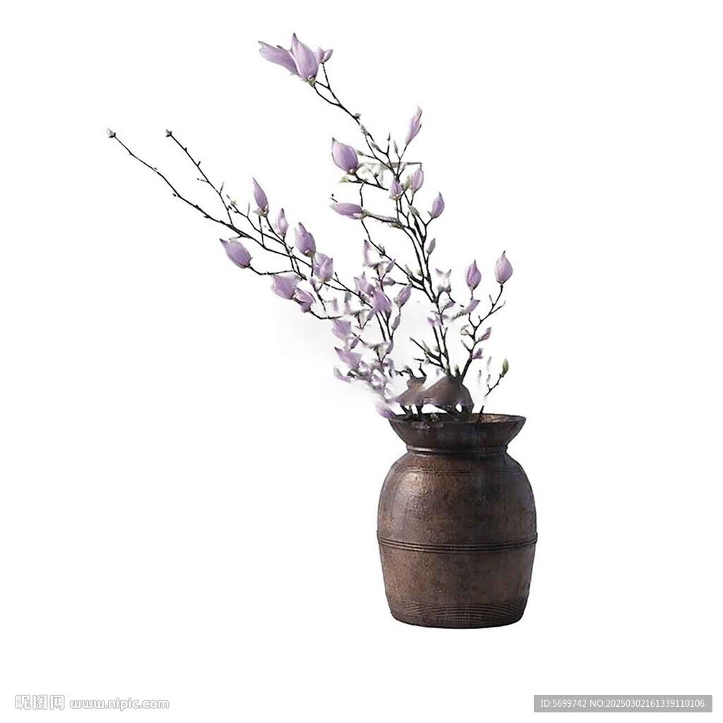 花 植物