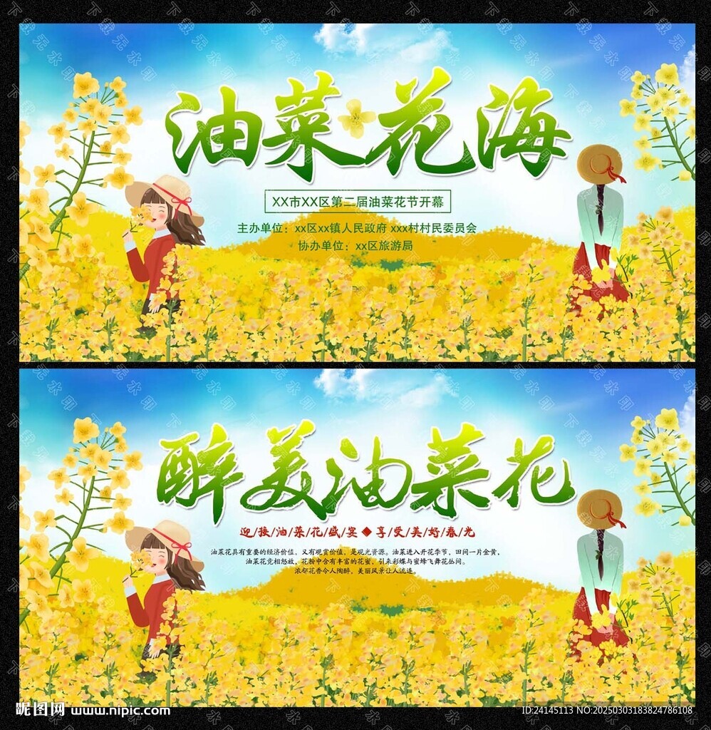 油菜花